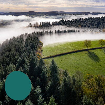 Agriculture et forêt